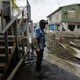 A resident walks through a flooded area of Puerto Rico on Wednesday, Sept. 27. Photo credit: AP Photo/Carlos Giusti